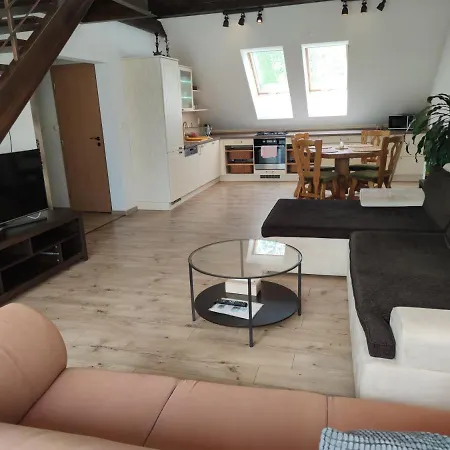 Attic Parkview Apartamento Piest'any