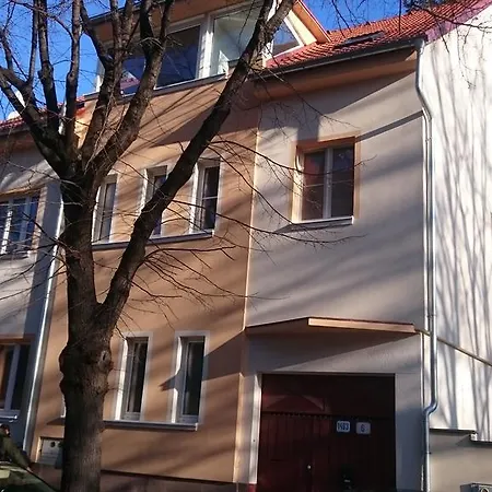 Attic Parkview Apartment Piest'any